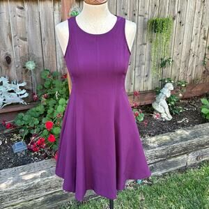 NWT Banana Republic Plum Fit & Flare Dress Women's Size 0 Petite New
